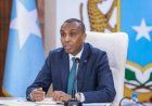 الصومال والاتحاد الأوروبي يخططان لتعزيز التعاون الأمني في مواجهة التحديات المشتركة