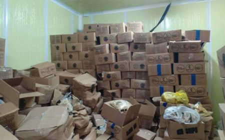 الزراعة تضبط 58 طنًا من اللحوم غير الصالحة وحرر 384 محضرًا لمكافحة الغش التجاري