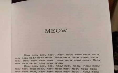 سيدة تتسبب في جدل واسع بعد شراء كتاب يحتوي على كلمة مياو لأطفالها بسعر 19 دولاراً