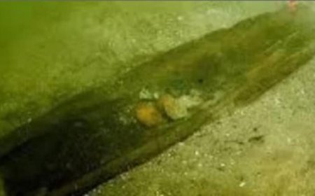 زوارق تعود لـ 5200 عام تكشف أسرار جديدة في أمريكا الشمالية