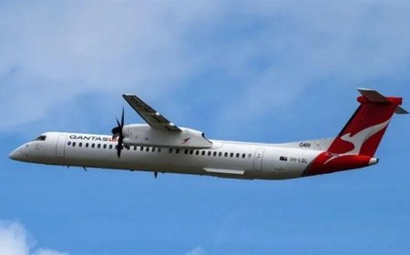 طائر يتسبب في هبوط اضطراري لطائرة أسترالية مرتين ويؤخر رحلات الركاب 6 ساعات