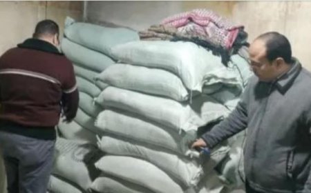 محافظ الدقهلية يعلن عن تحرير 17 محضرا في حملة رقابية على 28 مخبزا لتعزيز جودة الخدمات