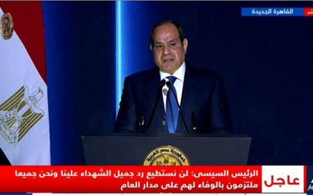 الرئيس السيسي يؤكد رفض مصر القاطع لأي محاولات لتقسيم الدول أو انتزاع أراضيها