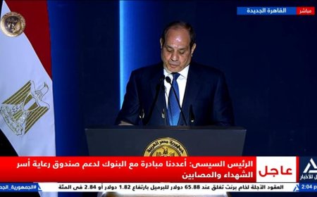 الرئيس السيسي يؤكد أن حديثه يهدف إلى حماية الدولة وليس لحماية نفسه أو النظام