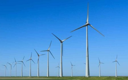 الدول الأوروبية ترفع شعار الالتزام بتوفير 100 جيجاواط من طاقة الرياح لتعزيز الاستدامة البيئية