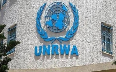 الأونروا تؤكد ثبات الموقف المصري وحسمه وسط تصاعد حملة الاستهداف
