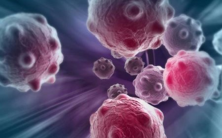اكتشاف حالة الخلايا السرطانية المحورية التي تحفز نمو السرطان من قبل فريق من العلماء