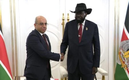 السفير المصري الجديد يعقد جلسة تعارف مع رئيس جمهورية جنوب السودان بعد تقديم أوراق اعتماده