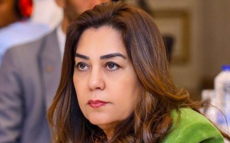 منال عوض تكشف عن بدء التشغيل التجريبي لمجزر مدينة موط بالوادي الجديد بتكلفة 21 مليون جنيه