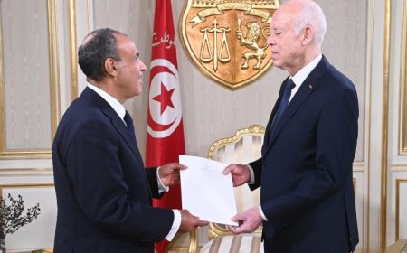 وزير الخارجية ينقل رسالة مهمة من الرئيس السيسي إلى الرئيس التونسي