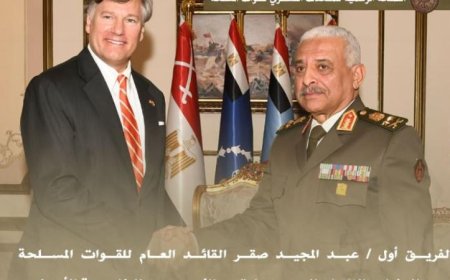فيديو وصور لقاء الفريق أول عبد المجيد صقر مع نائب وزير الخارجية الأمريكي