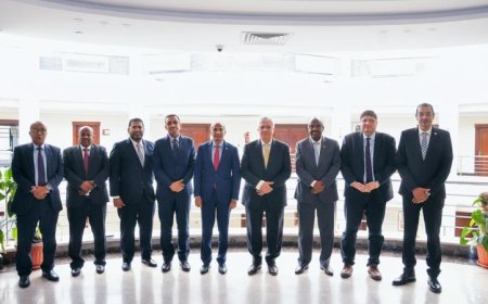 وزير التعليم العالي يعزز التعاون الأكاديمي مع وزير التعليم الجيبوتي