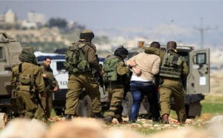الجيش الإسرائيلي يعتقل أكثر من 37 فلسطينيا من الضفة الغربية في حملة أمنية جديدة