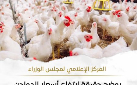 بالإنفوجراف اكتشف أسباب ارتفاع أسعار الدواجن وتأثيرها على السوق