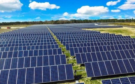 الطاقات الشمسية تعزز قدرة توليد الكهرباء وتدفع الاقتصاد في الصين