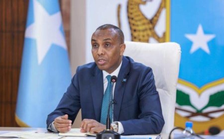 الصومال والاتحاد الأوروبي يخططان لتعزيز التعاون الأمني في مواجهة التحديات المشتركة