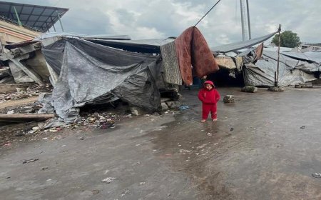 بريطانيا تعلن عن دعمها القوي لخطط السلام في غزة وتعزيز رؤية حل الدولتين للمستقبل