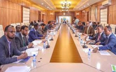 مجلس الوزراء الصومالي يوافق على تعيين قائد جديد للجيش لتعزيز الأمن والاستقرار