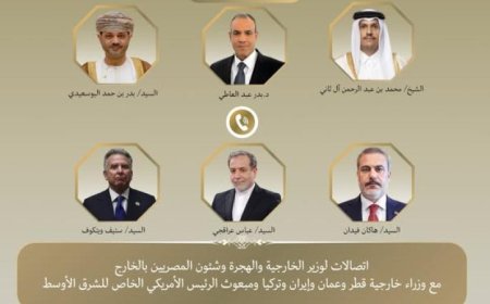 وزير الخارجية يعقد مشاورات حيوية لمناقشة التطورات الإقليمية وخفض التوترات