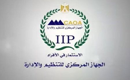 التنظيم والإدارة يكشف عن فرص عمل جديدة في القطاع التعليمي تشمل مسابقات لتوظيف معلمين في الفترة المقبلة