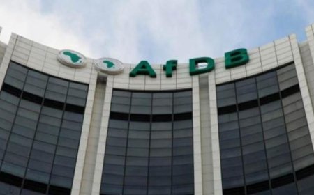 بنك التنمية الأفريقي يطلق برنامج تحويل طاقة الوعود إلى كهرباء في أفريقيا