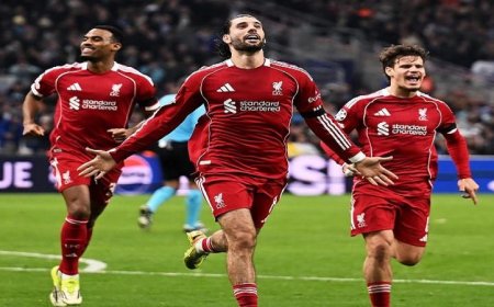 مواجهات نارية اليوم ليفربول يتحدى نيوكاسل والأهلي يقابل يانج أفريكانز وبرشلونة يواجه إلتشي