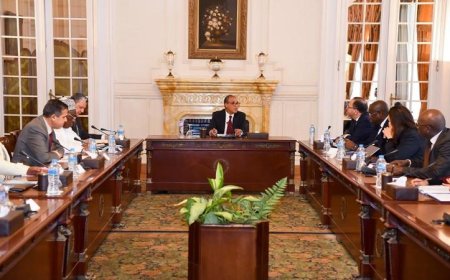 وزير الخارجية يؤكد عمق تقدير مصر للتعاون المثمر مع الاتحاد الأفريقي