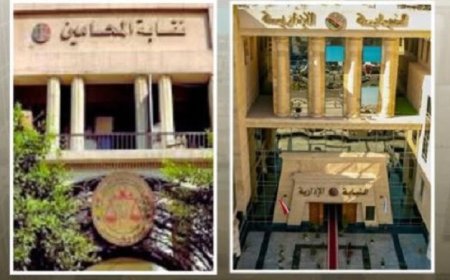 النيابة الإدارية تتابع انطلاق المرحلة الثانية من انتخابات نقابات المحامين الفرعية