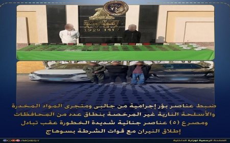 اعتقال شبكة إجرامية مختصة في الاتجار بالمخدرات والأسلحة النارية