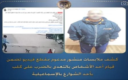 الشرطة تضبط شخصا اعتدى بالضرب على كلب في شوارع الإسماعيلية