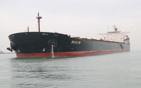 ميناء دمياط يسجل رقماً قياسياً في تفريغ حمولة السفينة ZHI DA 88