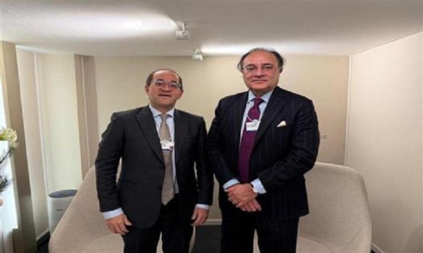 وزير المالية يؤكد أهمية تعزيز العلاقات الثنائية مع باكستان ودفع التعاون المشترك قدمًا