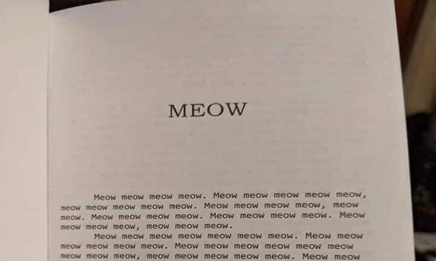 سيدة تتسبب في جدل واسع بعد شراء كتاب يحتوي على كلمة مياو لأطفالها بسعر 19 دولاراً