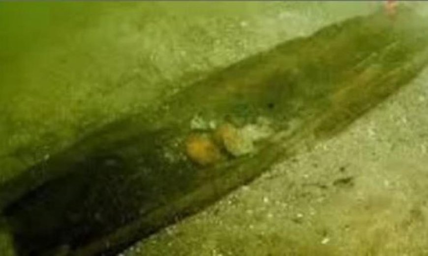 زوارق تعود لـ 5200 عام تكشف أسرار جديدة في أمريكا الشمالية