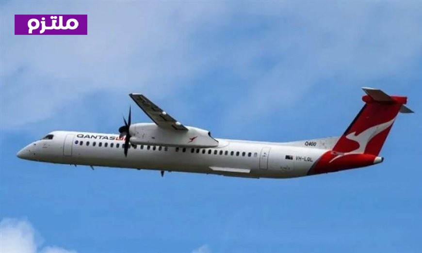 طائر يتسبب في هبوط اضطراري لطائرة أسترالية مرتين ويؤخر رحلات الركاب 6 ساعات