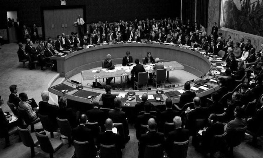 مجلس الأمن يطالب كولومبيا بتسريع الإصلاحات لضمان انتخابات آمنة وشاملة