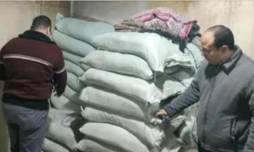 محافظ الدقهلية يعلن عن تحرير 17 محضرا في حملة رقابية على 28 مخبزا لتعزيز جودة الخدمات