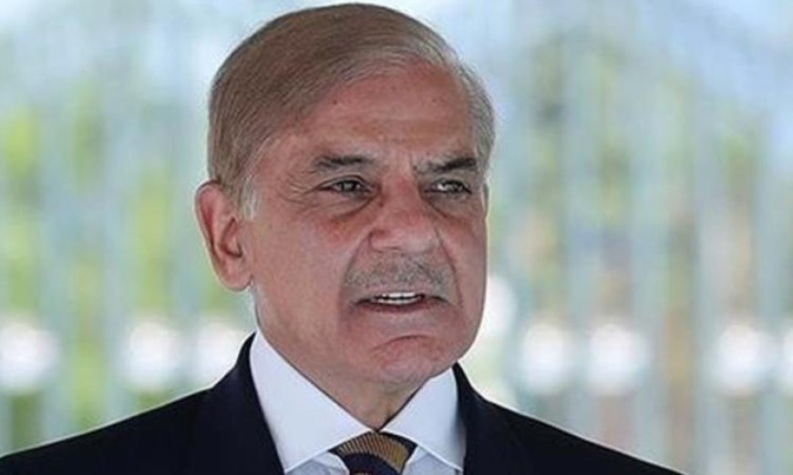 رئيس وزراء باكستان يعلن انضمام بلاده إلى مجلس السلام الخاص بغزة