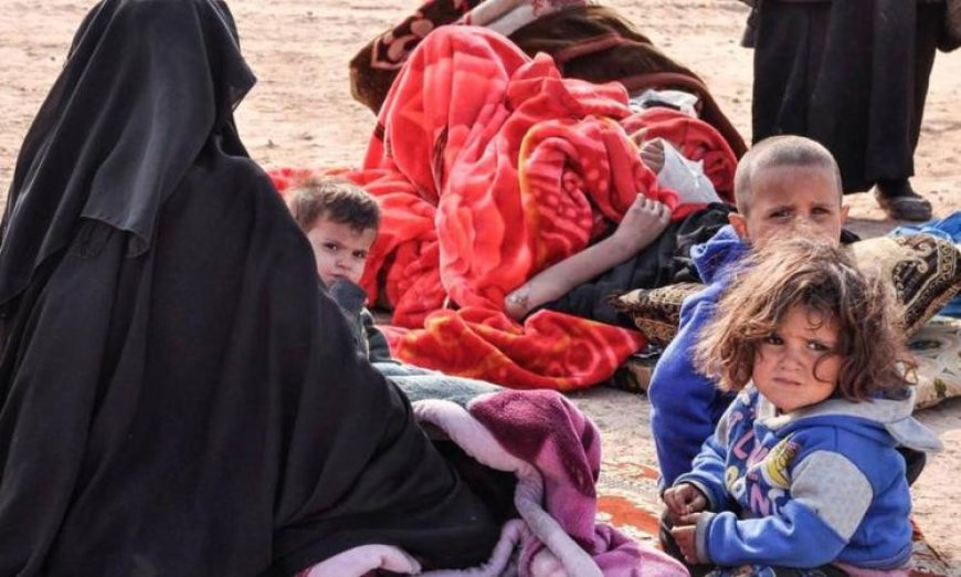 الأمم المتحدة تعزز جهودها لإدخال الإمدادات الأساسية إلى مخيم الهول في سوريا حسب أوتشا