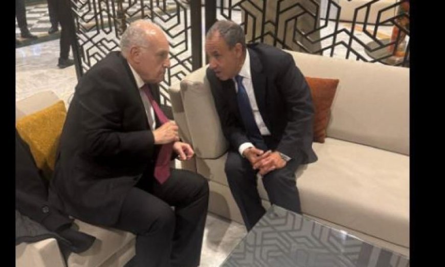 الخارجية تؤكد على دور التشاور الثلاثي بين مصر وتونس والجزائر في تعزيز استقرار ليبيا