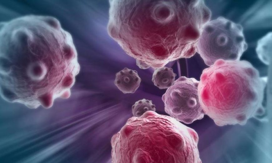 اكتشاف حالة الخلايا السرطانية المحورية التي تحفز نمو السرطان من قبل فريق من العلماء