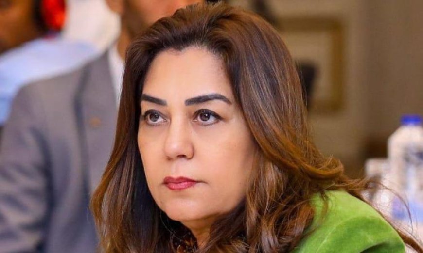 منال عوض تكشف عن بدء التشغيل التجريبي لمجزر مدينة موط بالوادي الجديد بتكلفة 21 مليون جنيه