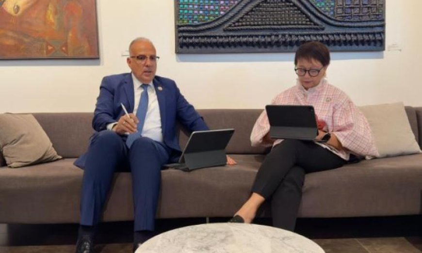 وزير الري يجتمع بالمبعوثة الخاصة للأمين العام للأمم المتحدة في قضايا المياه