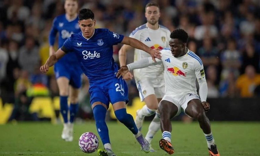 إيفرتون يُحقق تعادلًا مخيبًا أمام ليدز في قمة هيل ديكينسون