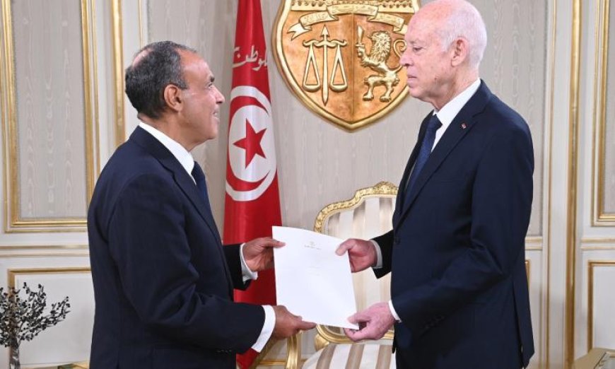 وزير الخارجية ينقل رسالة مهمة من الرئيس السيسي إلى الرئيس التونسي