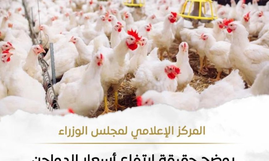 بالإنفوجراف اكتشف أسباب ارتفاع أسعار الدواجن وتأثيرها على السوق