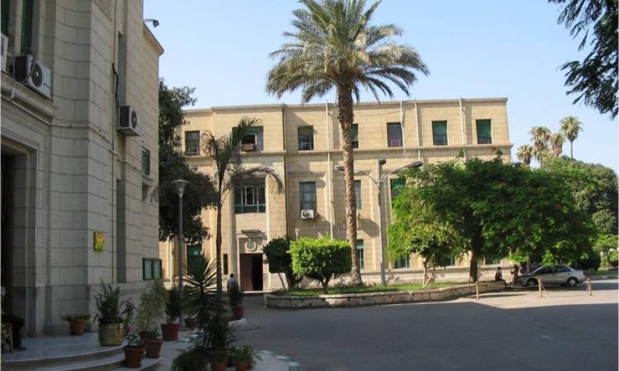علوم القاهرة تطلق مبادرة إضاءات بحثية لتعزيز التواصل مع المجتمع وتعزيز البحث العلمي