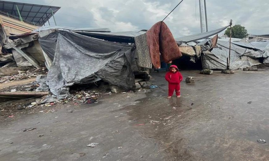 بريطانيا تعلن عن دعمها القوي لخطط السلام في غزة وتعزيز رؤية حل الدولتين للمستقبل