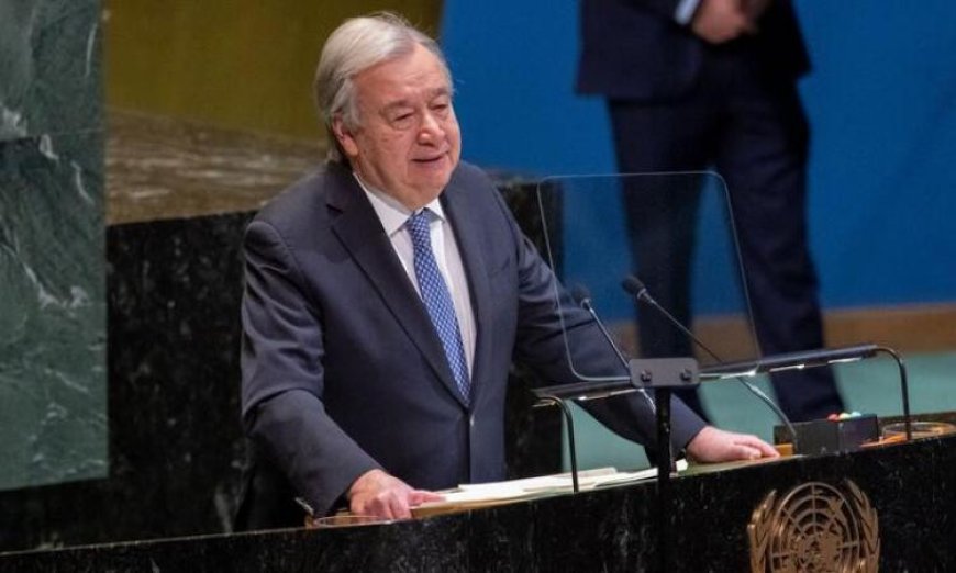 جوتيريش يشدد على أهمية الجهود المتجددة لتحقيق السلام والعدالة والتنمية المستدامة