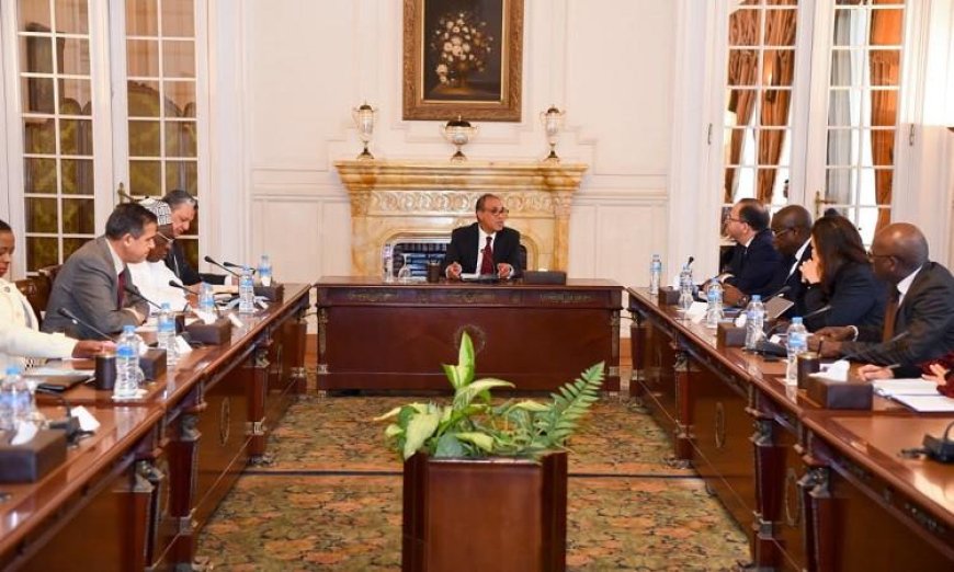 وزير الخارجية يؤكد عمق تقدير مصر للتعاون المثمر مع الاتحاد الأفريقي